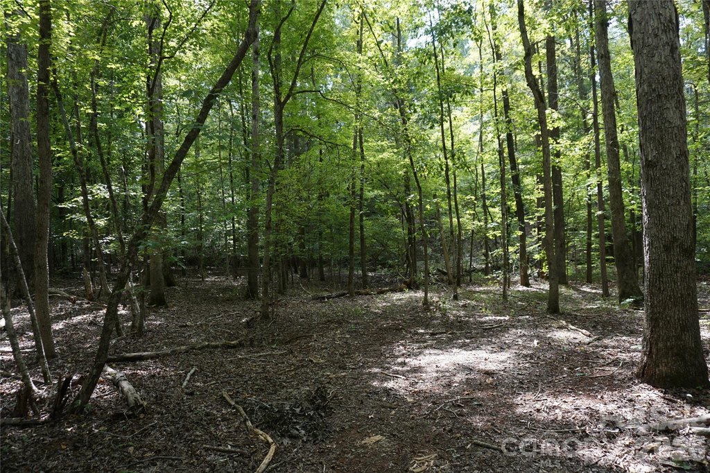 Picture 23