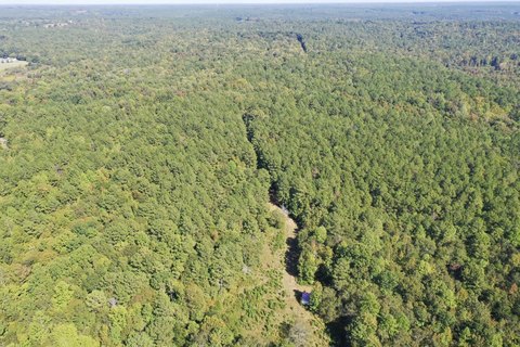 Land, Waterloo, SC