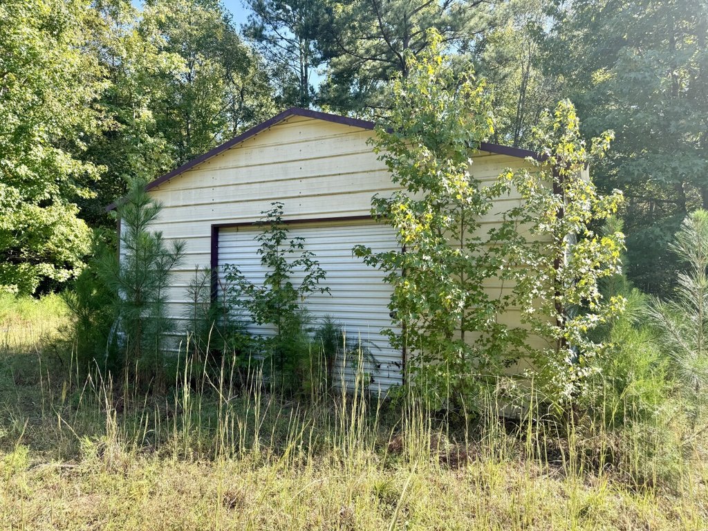 Picture 25