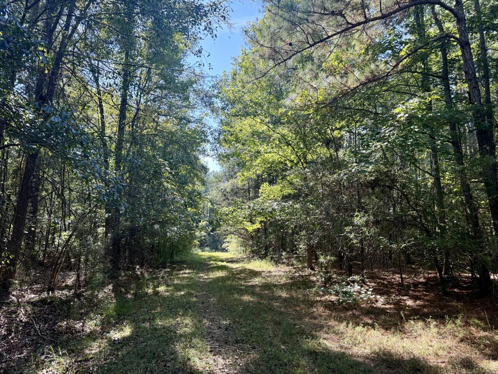 Picture 28