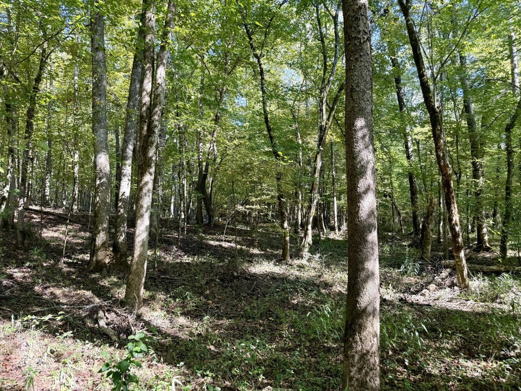 Picture 19