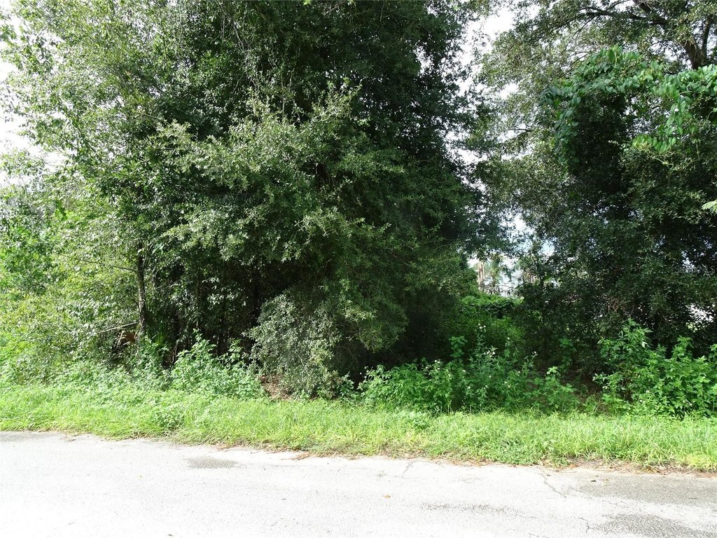 Picture 4