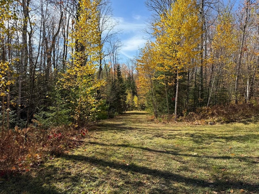 Picture 22