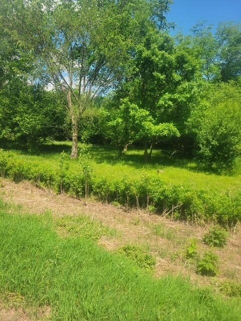 Picture 15