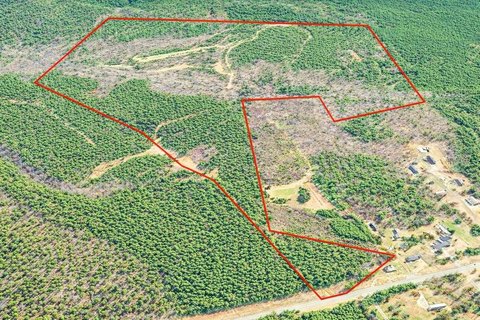 136 Acres Wooded Land, Abbeville