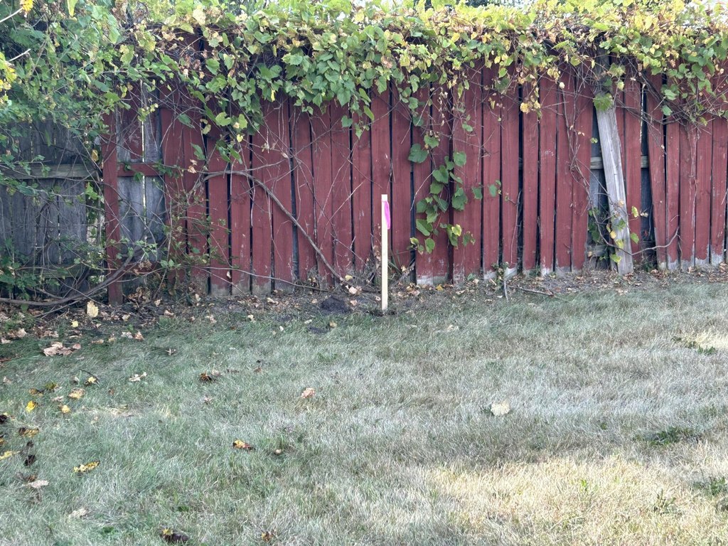 Picture 4
