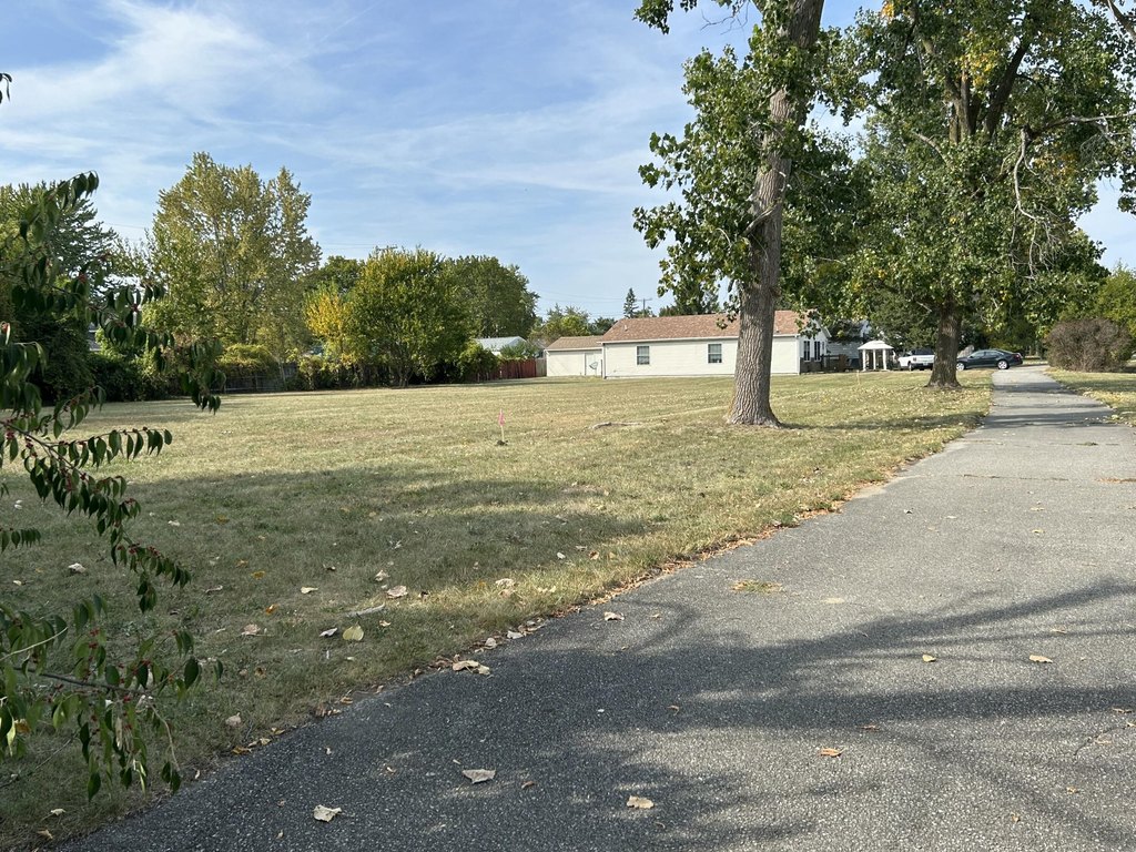 Picture 6
