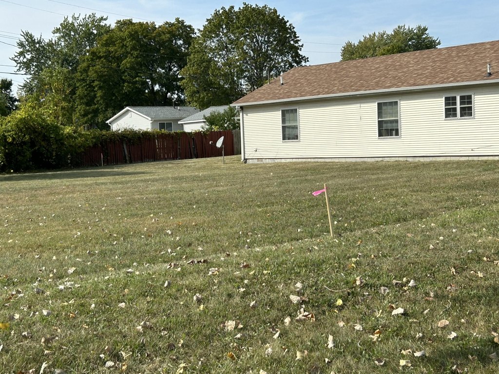 Picture 3