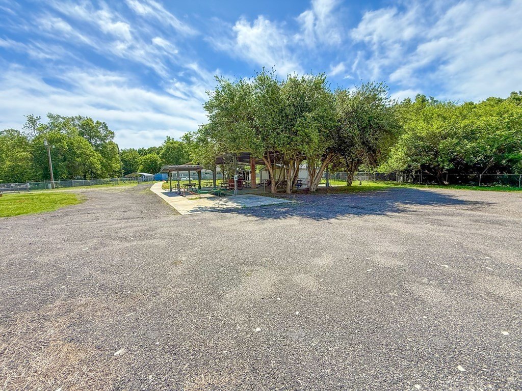 Picture 25