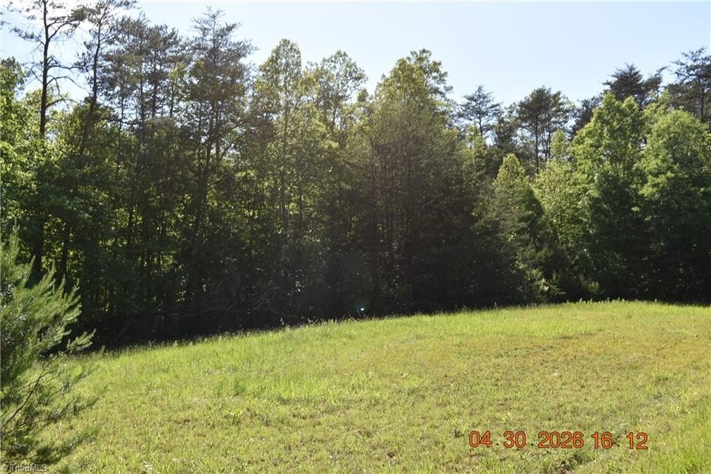 Picture 10