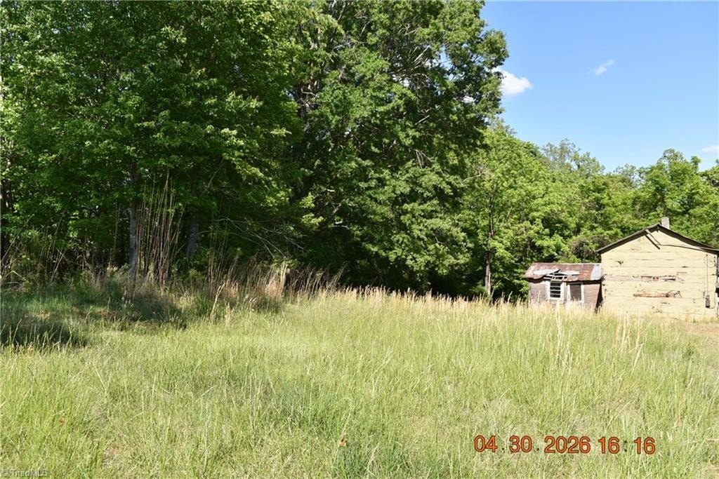 Picture 11