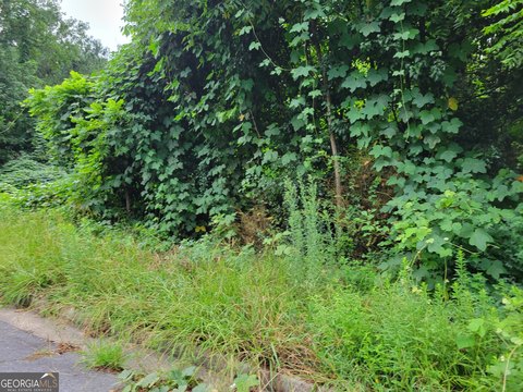 Build-Ready Lot in Jonesboro, GA