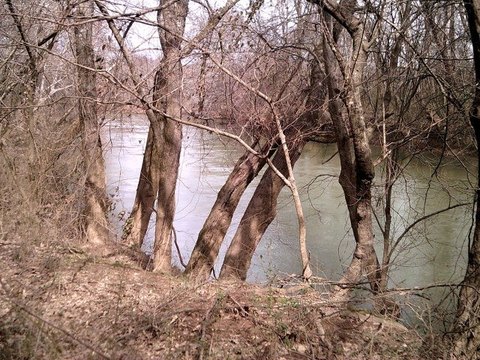 140+ Acre Riverfront Land