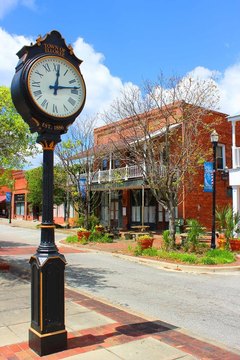 Commercial Investment Opportunity in Elloree