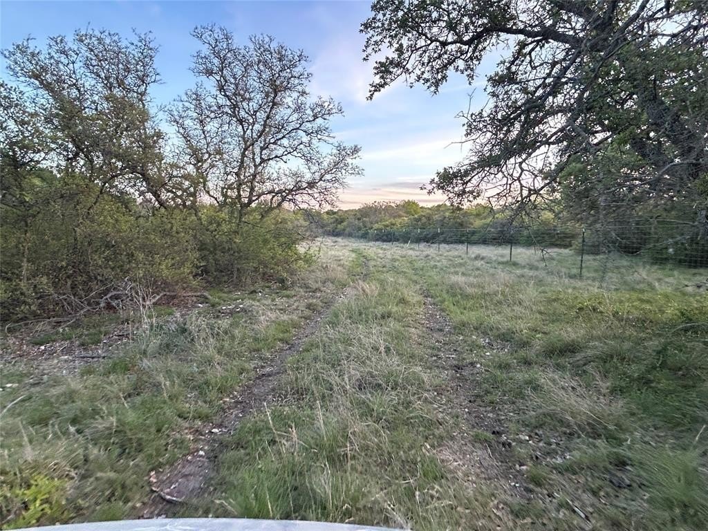 Picture 25