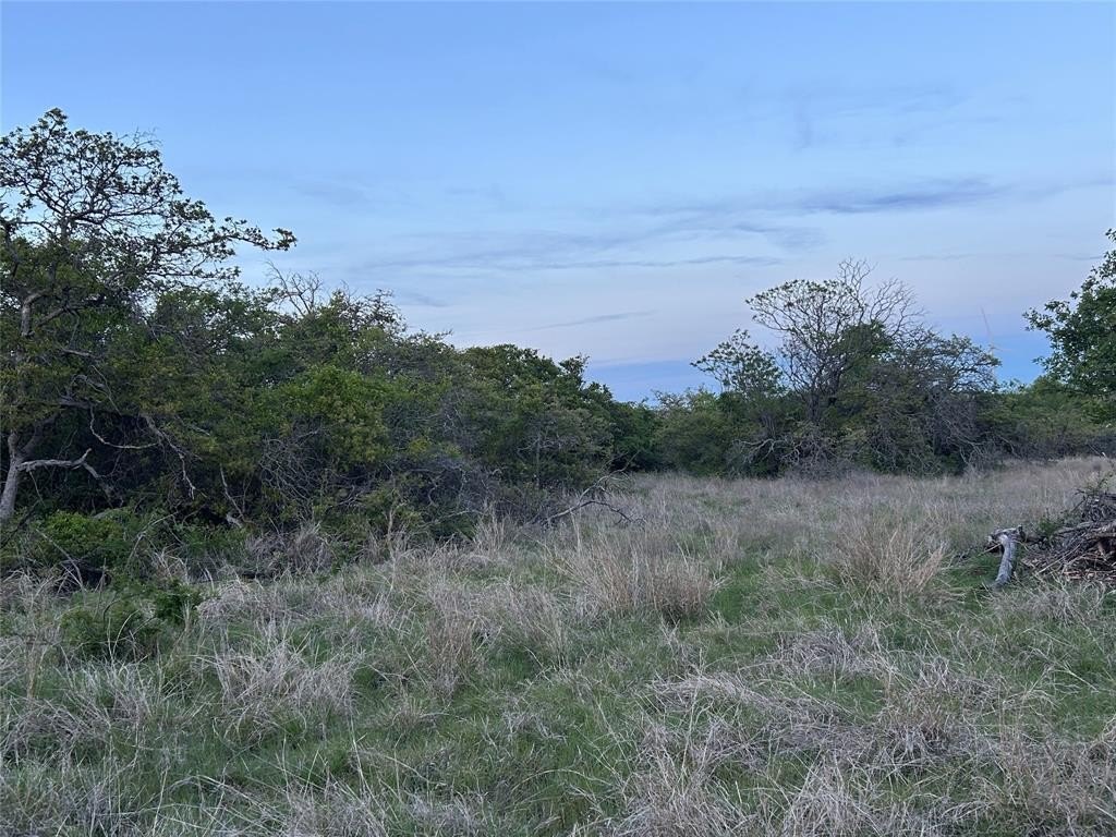 Picture 20