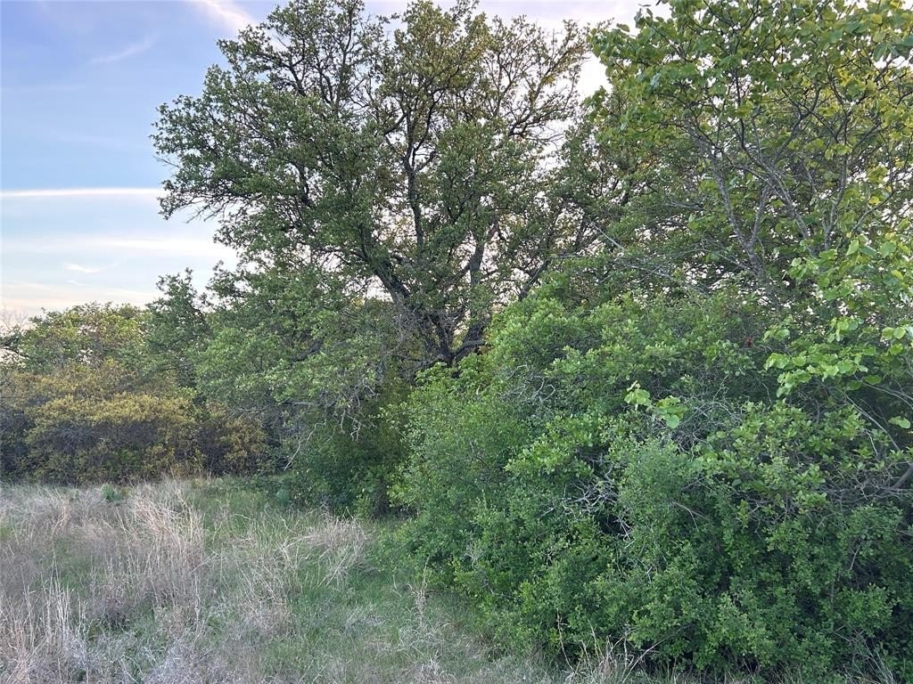 Picture 21