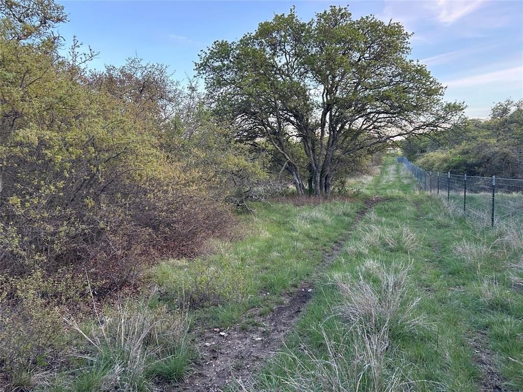 Picture 13