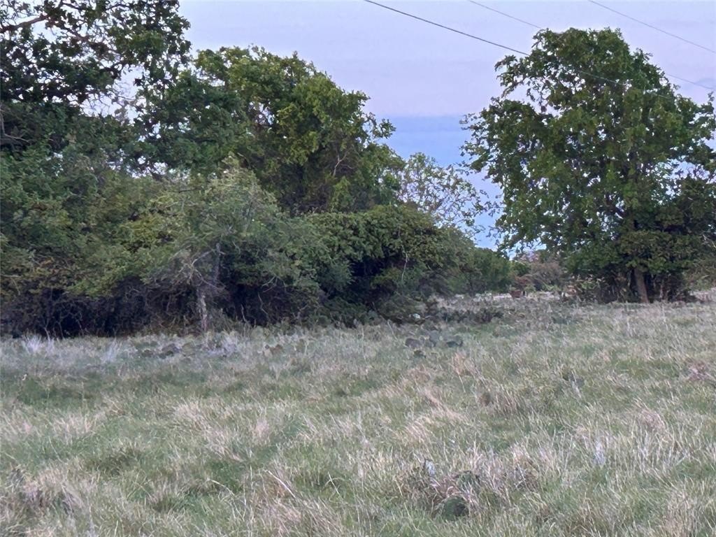 Picture 17