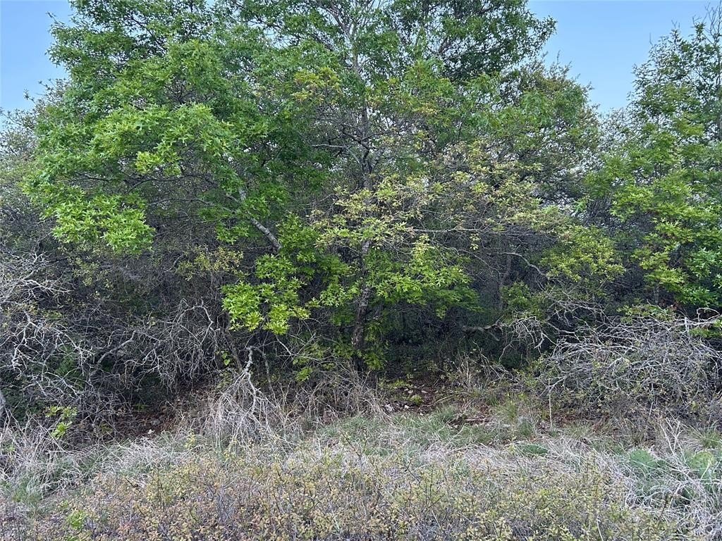 Picture 19