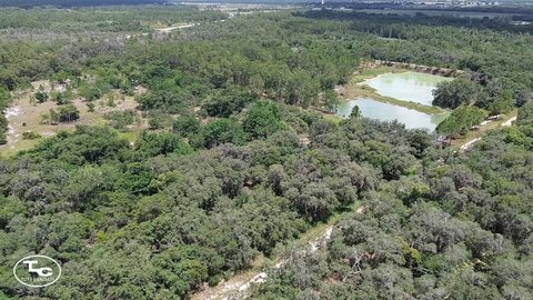 Recreational Hunting Land Tract