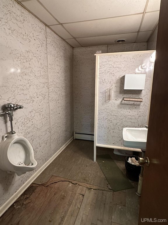 Picture 28