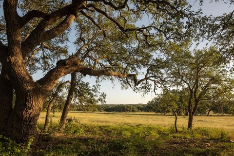 Land, Dripping Springs, TX