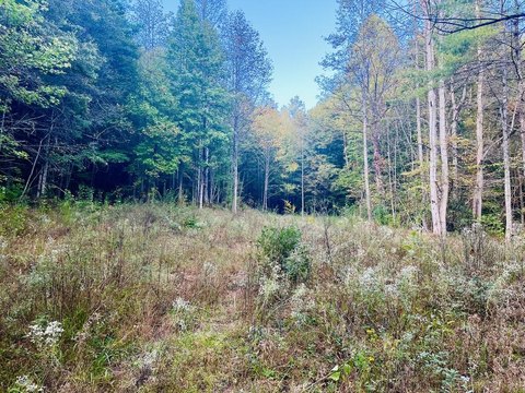 Vacant Lot, Murphy, NC
