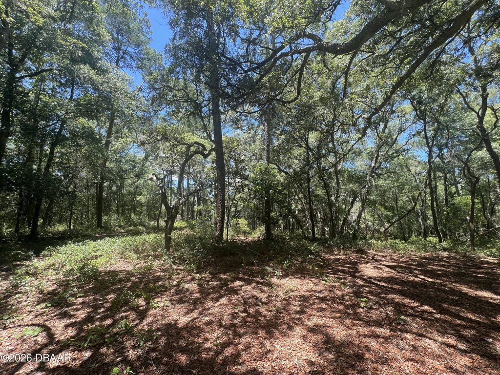 Picture 14