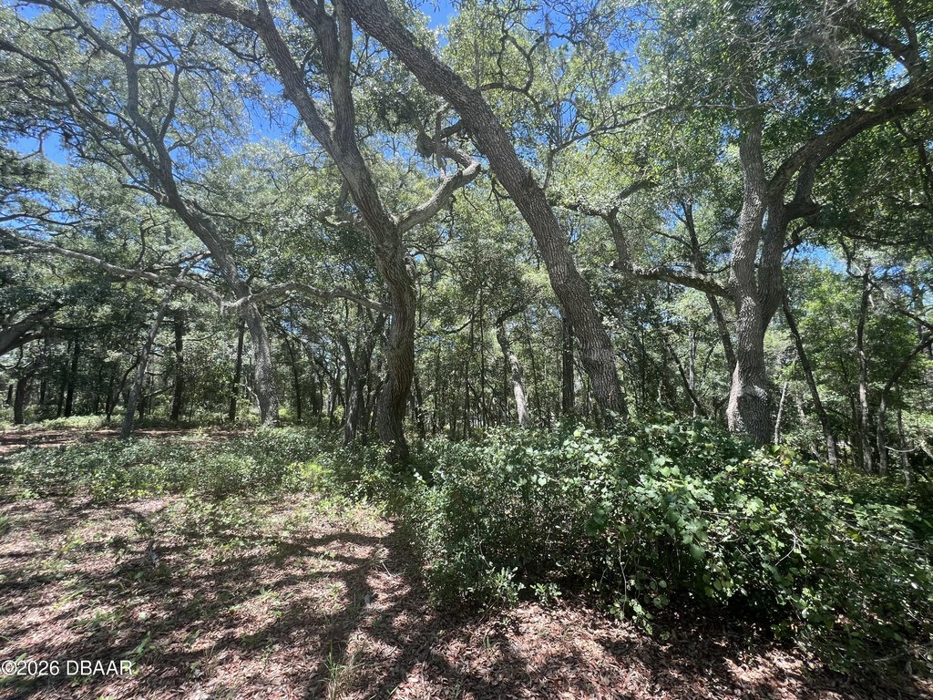 Picture 16