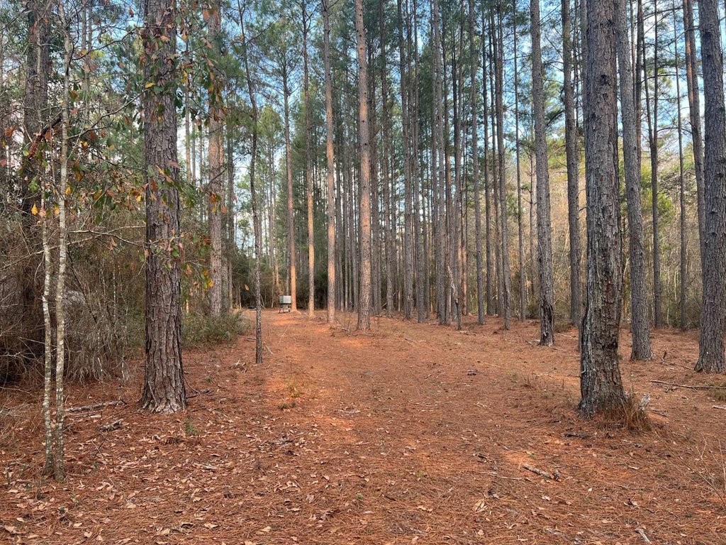 Picture 14