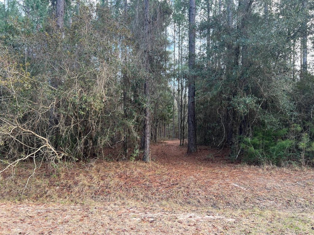 Picture 4