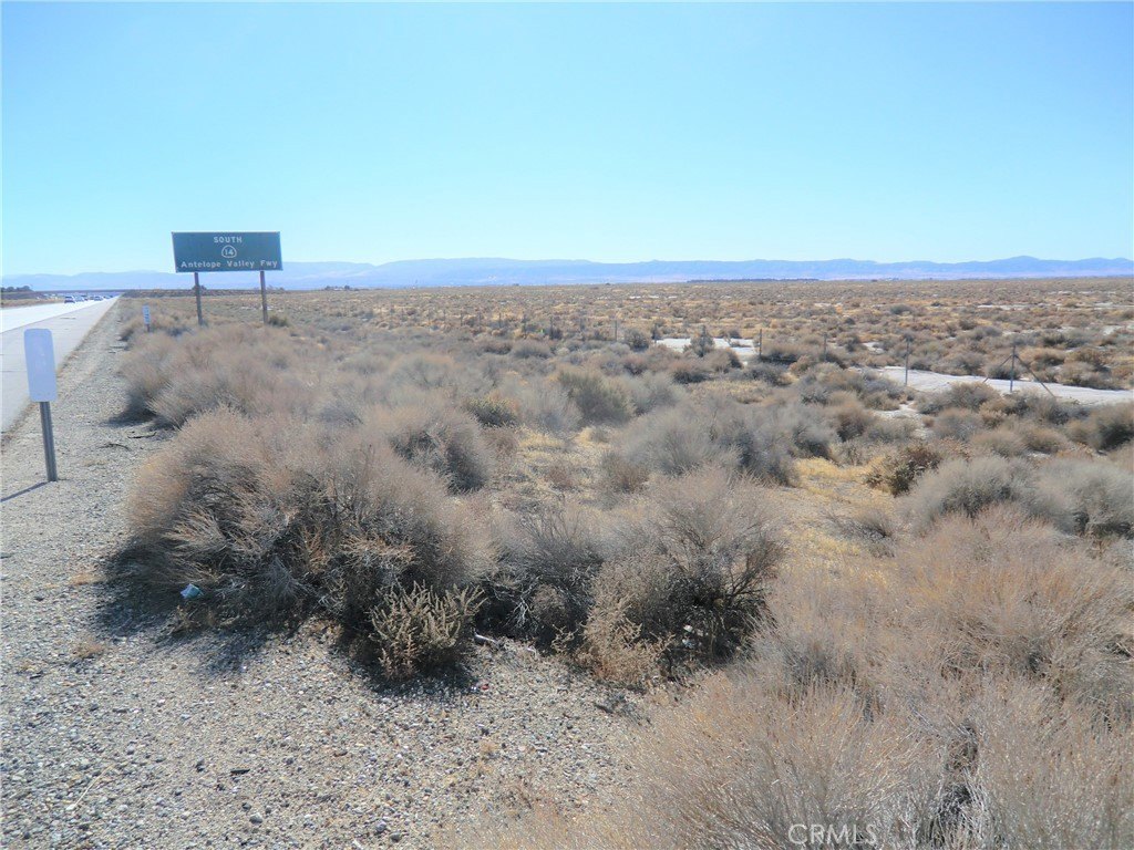 Picture 6