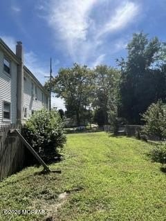 Picture 3