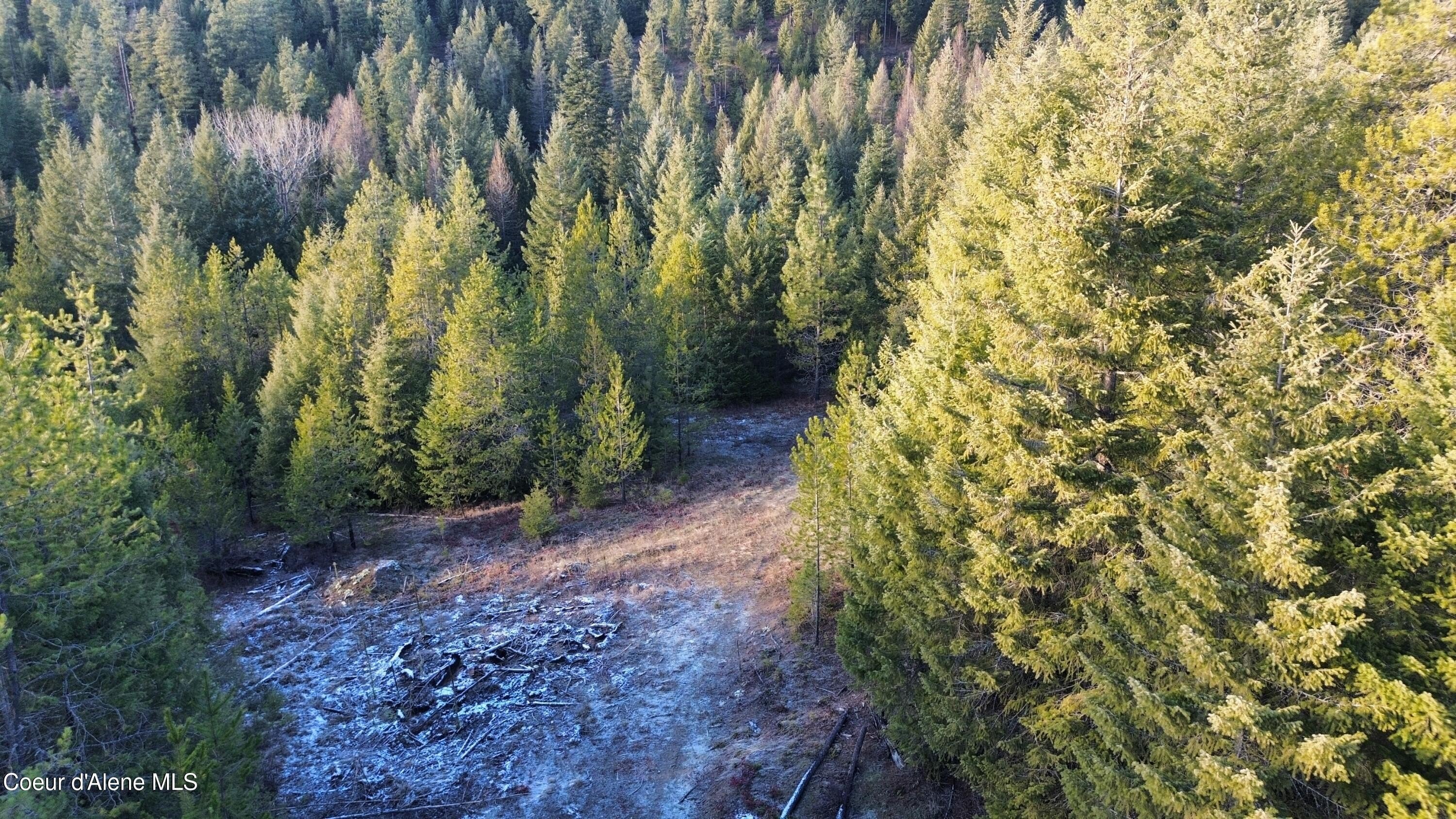 Treed Land Parcel Near Lakes