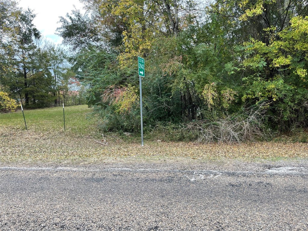Picture 4
