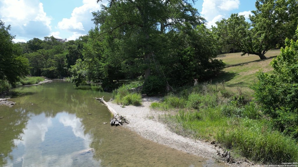 Picture 31