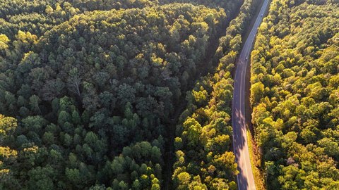 Land and Lots, Cullman, AL
