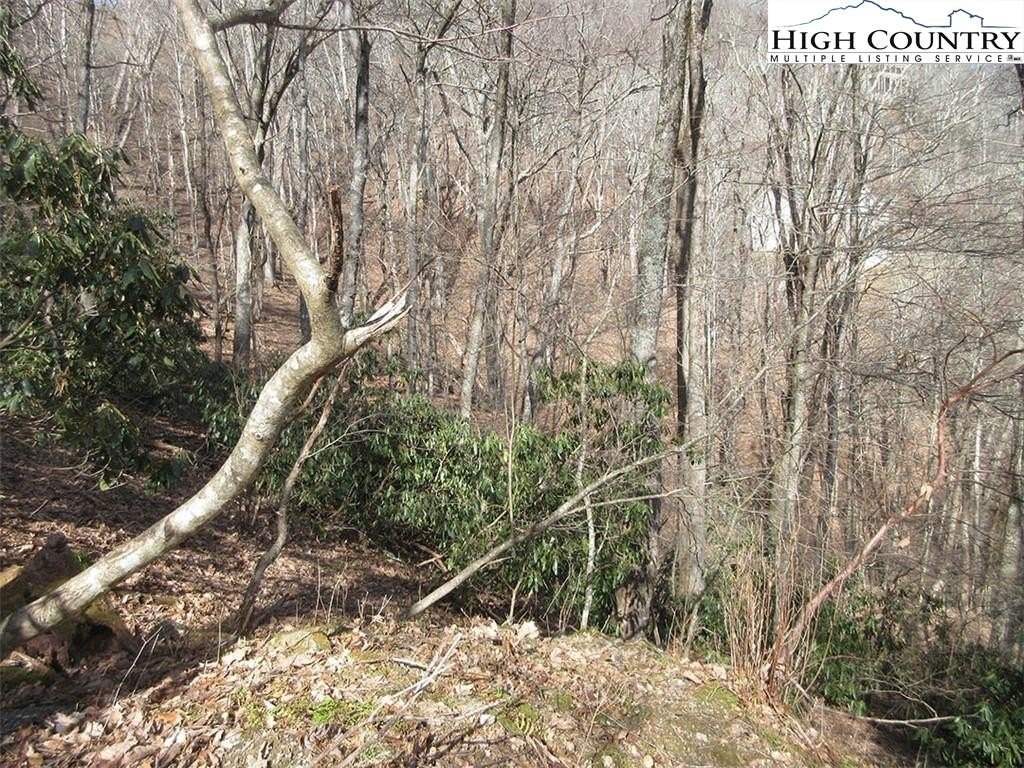 Picture 3