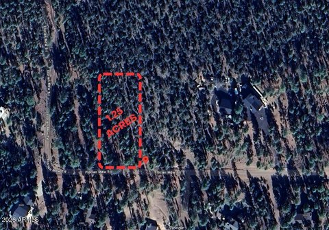 Overgaard Land Near National Forest