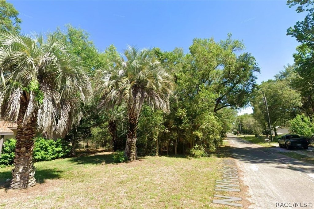 Picture 11