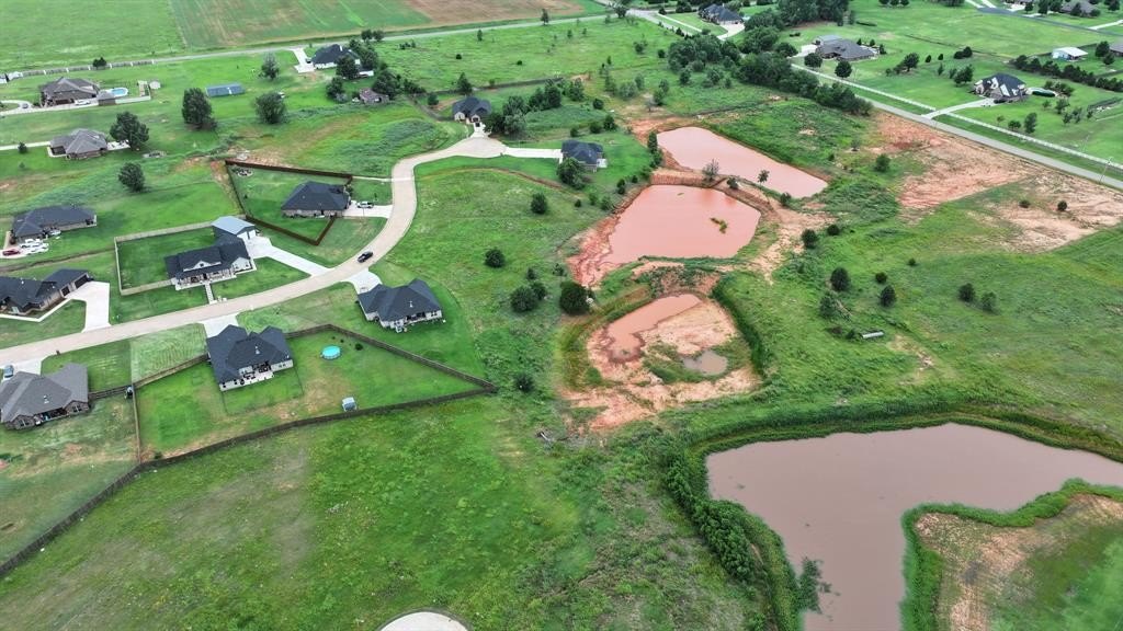 Picture 13