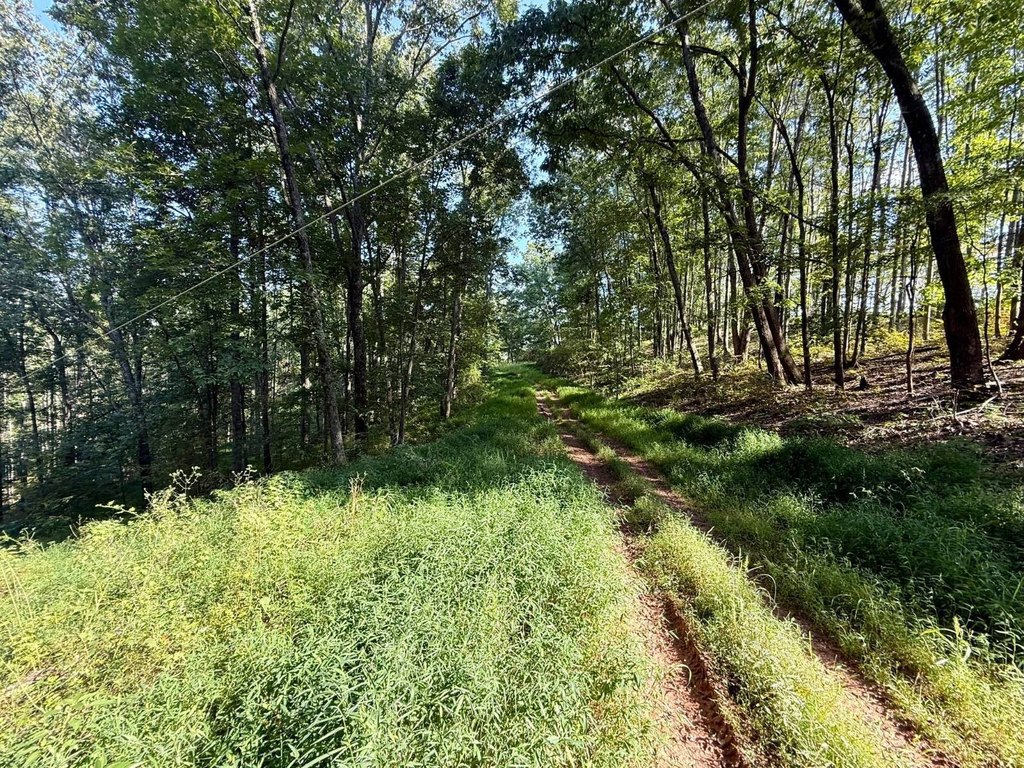 Picture 19