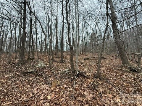 LAND - Moravian Falls, NC