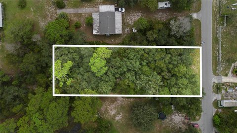 Land in Paisley, Florida