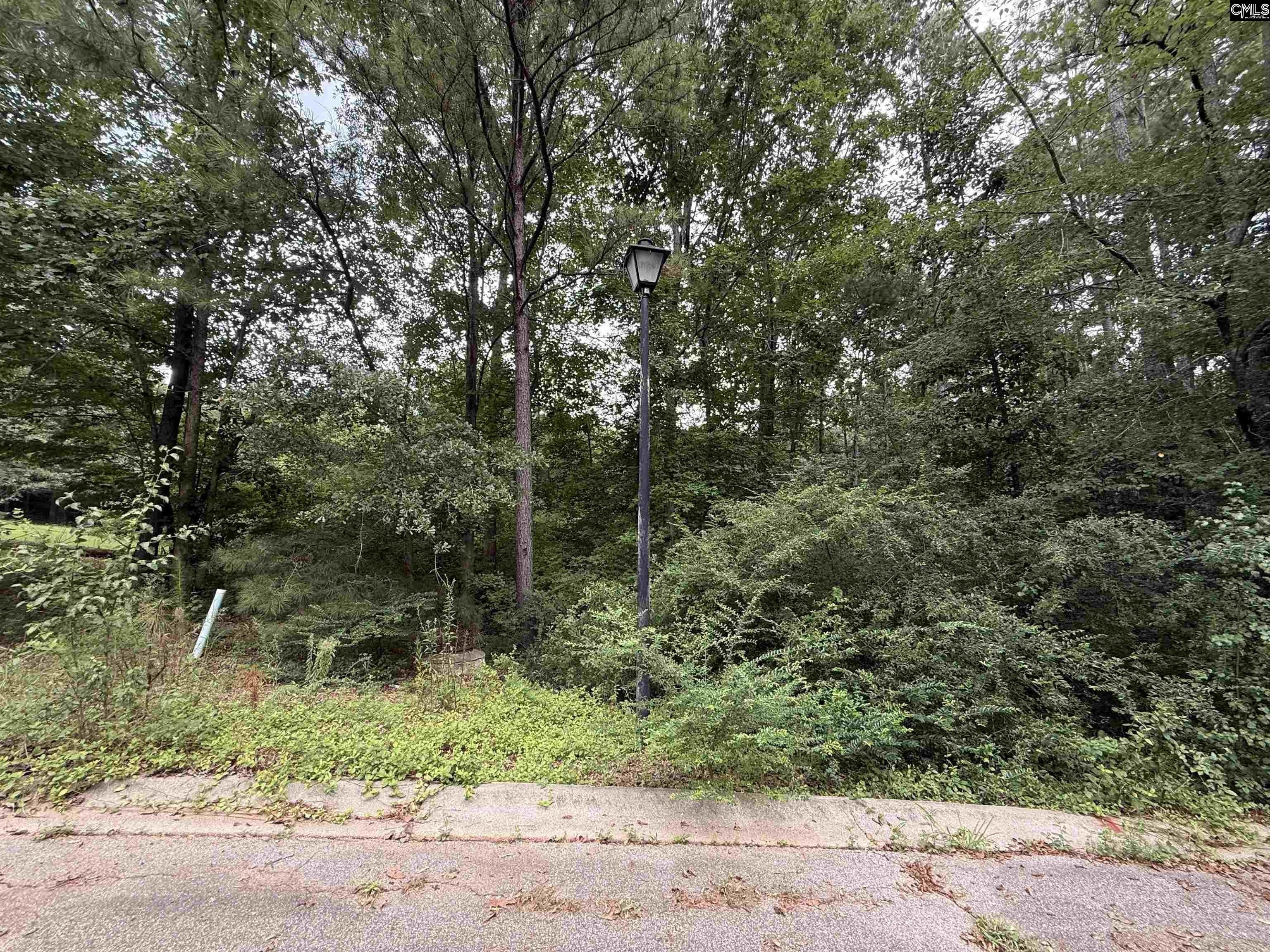 Winnsboro Land Tract For Sale
