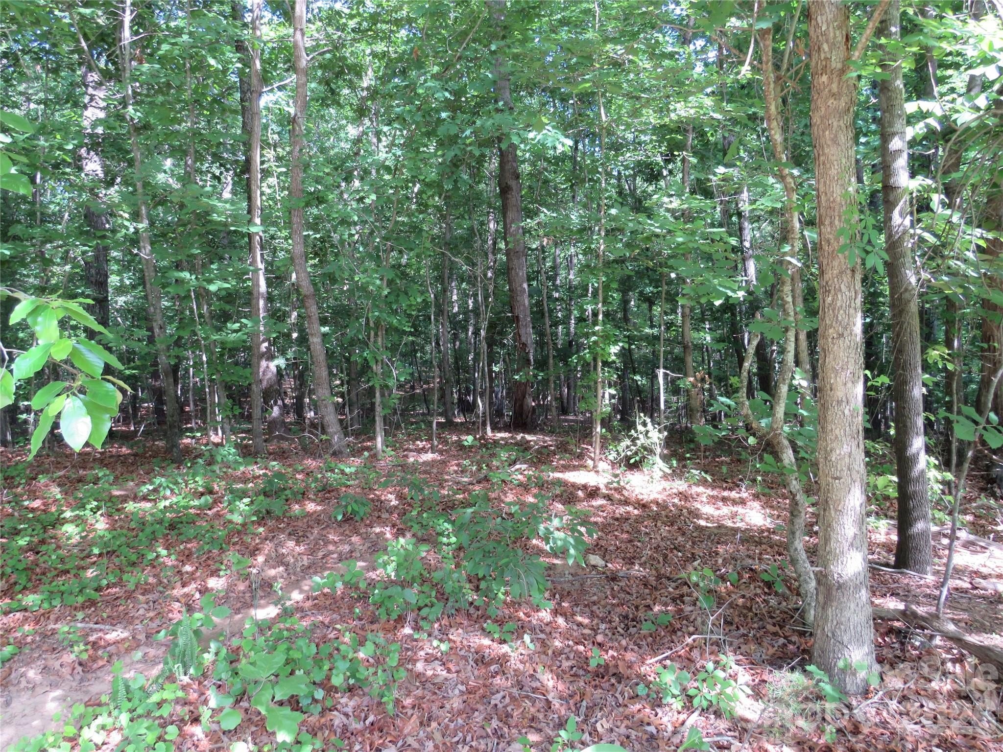 3.07 Acres in Forest City
