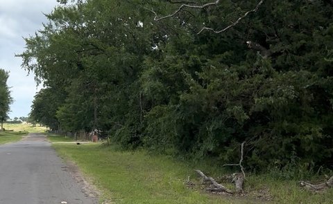 Land Near Lake, Grand Saline