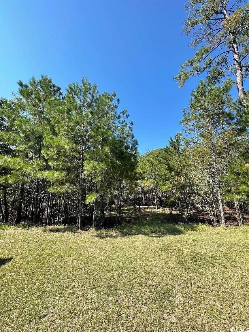 Residential Lot in Conway, SC