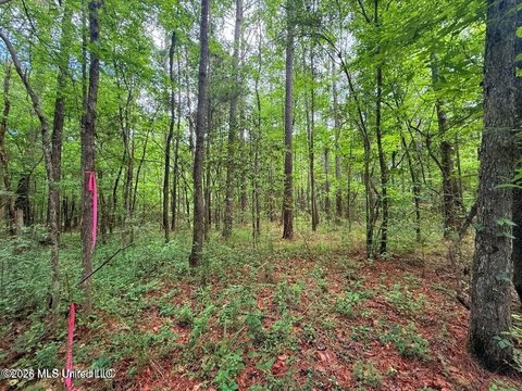 LAND - Smithdale, MS